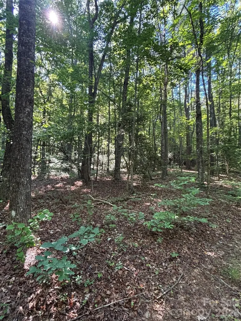 000 Stillwater Road Boomer NC 28606