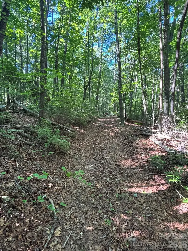 000 Stillwater Road Boomer NC 28606
