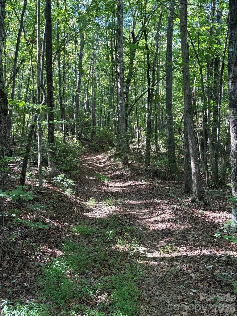 000 Stillwater Road Boomer NC 28606