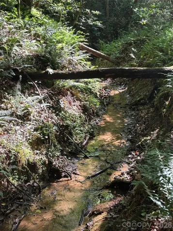 000 Stillwater Road Boomer NC 28606