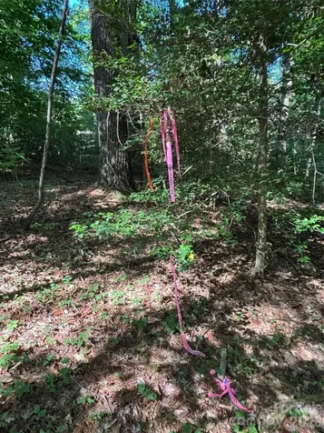 000 Stillwater Road Boomer NC 28606
