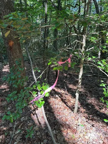 000 Stillwater Road Boomer NC 28606