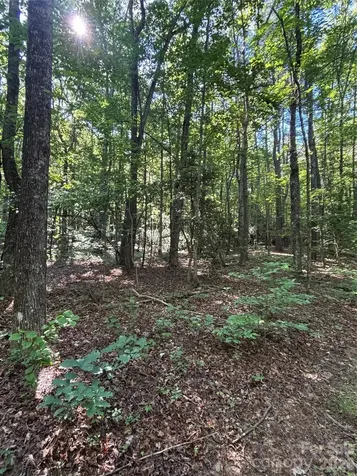000 Stillwater Road Boomer NC 28606
