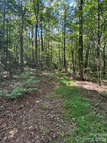 000 Stillwater Road Boomer NC 28606