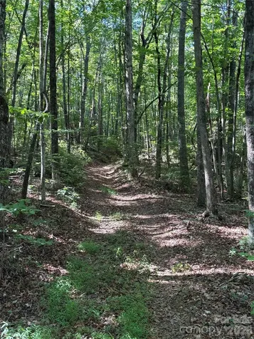000 Stillwater Road Boomer NC 28606