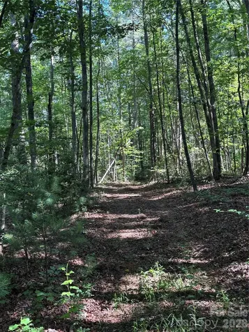 000 Stillwater Road Boomer NC 28606