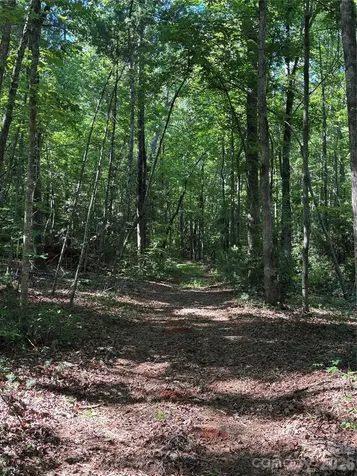 000 Stillwater Road Boomer NC 28606