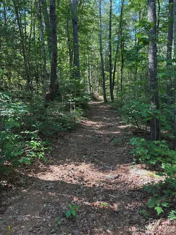 000 Stillwater Road Boomer NC 28606