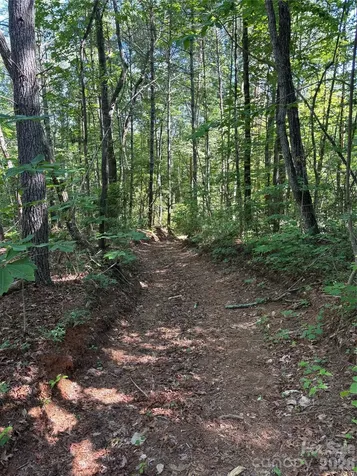 000 Stillwater Road Boomer NC 28606