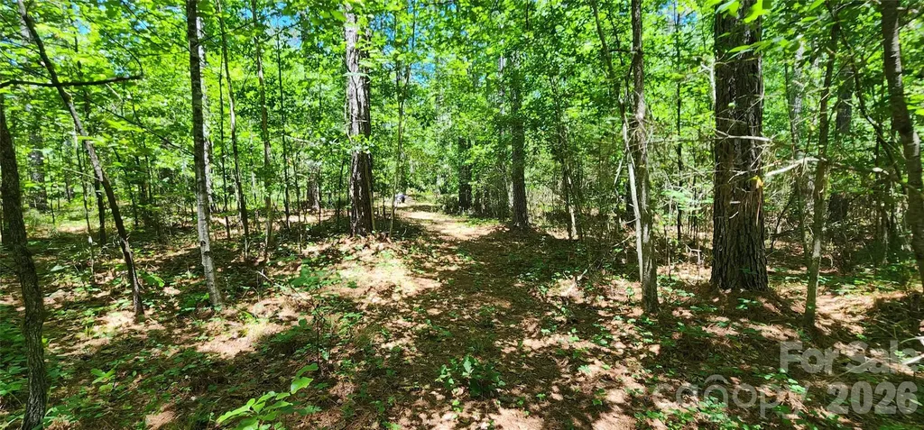 171 Bambi Lane Mill Spring NC 28782