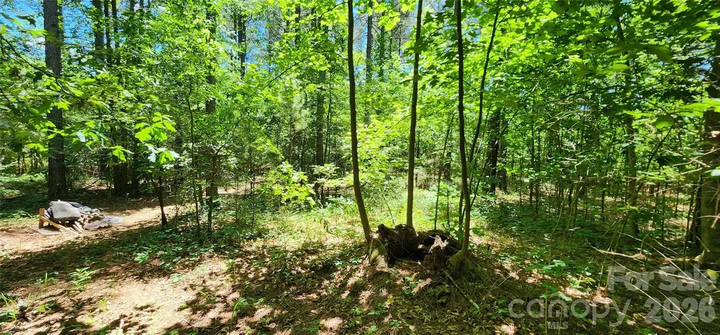 171 Bambi Lane Mill Spring NC 28782