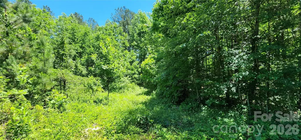 171 Bambi Lane Mill Spring NC 28782