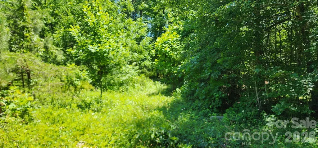 171 Bambi Lane Mill Spring NC 28782