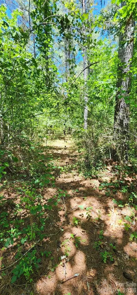 171 Bambi Lane Mill Spring NC 28782