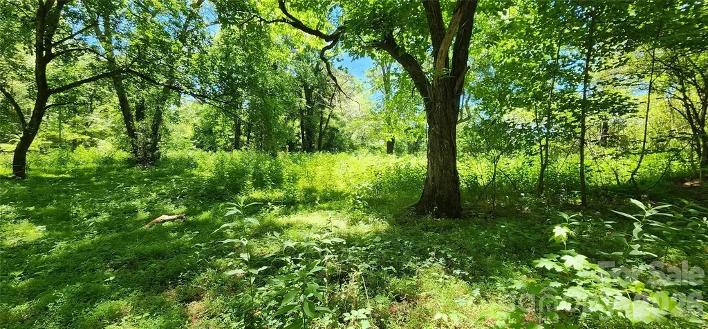171 Bambi Lane Mill Spring NC 28782