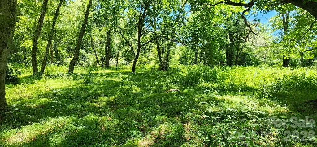 171 Bambi Lane Mill Spring NC 28782