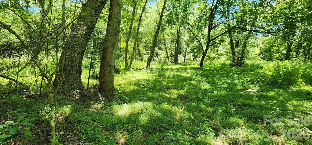 171 Bambi Lane Mill Spring NC 28782