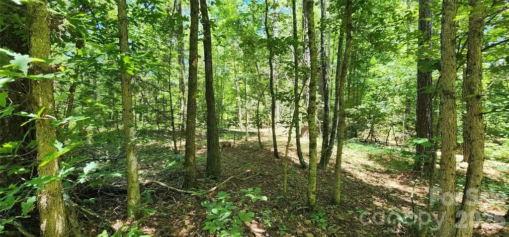 171 Bambi Lane Mill Spring NC 28782