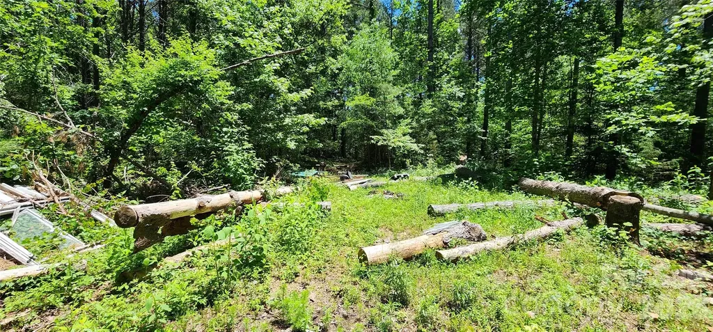 171 Bambi Lane Mill Spring NC 28782