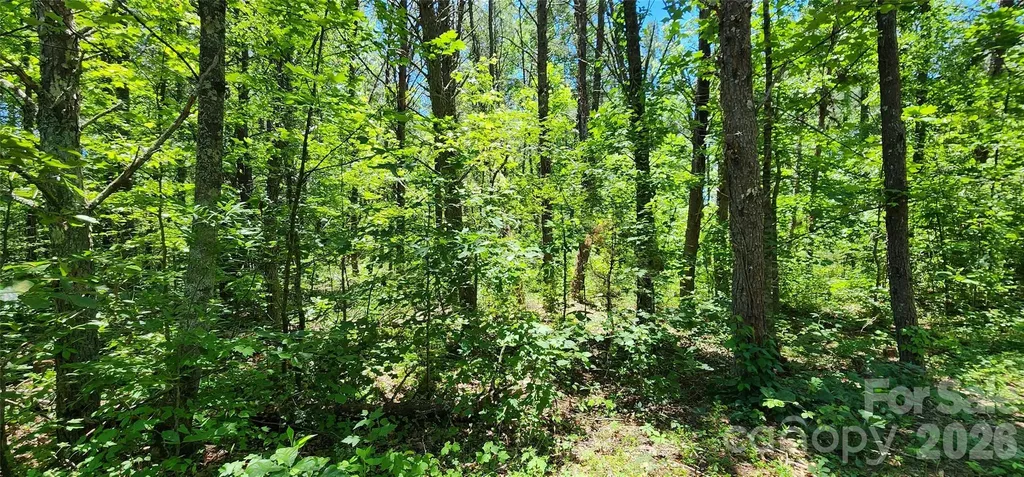 171 Bambi Lane Mill Spring NC 28782