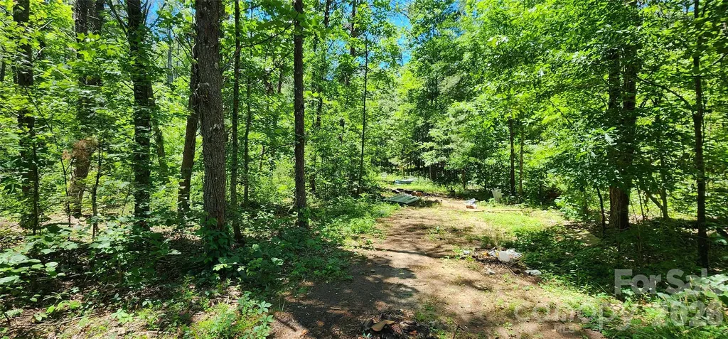 171 Bambi Lane Mill Spring NC 28782