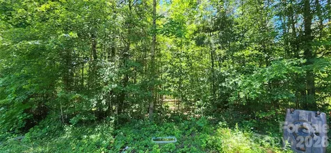 171 Bambi Lane Mill Spring NC 28782