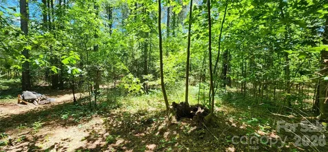 171 Bambi Lane Mill Spring NC 28782