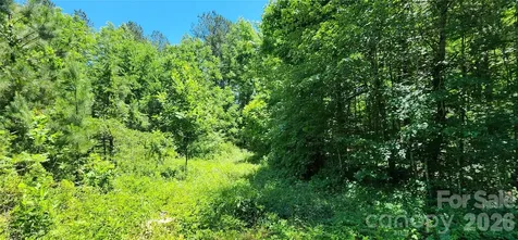 171 Bambi Lane Mill Spring NC 28782