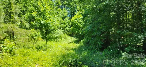 171 Bambi Lane Mill Spring NC 28782