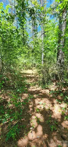 171 Bambi Lane Mill Spring NC 28782