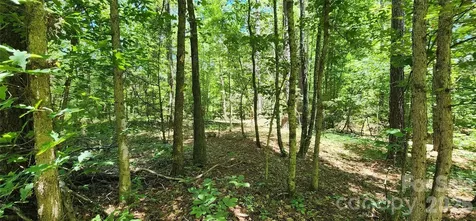 171 Bambi Lane Mill Spring NC 28782