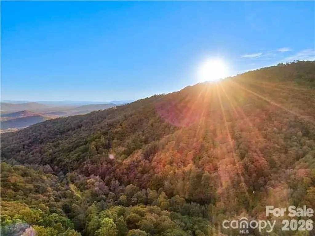 99999 Red Oak Forest Road Fairview NC 28730