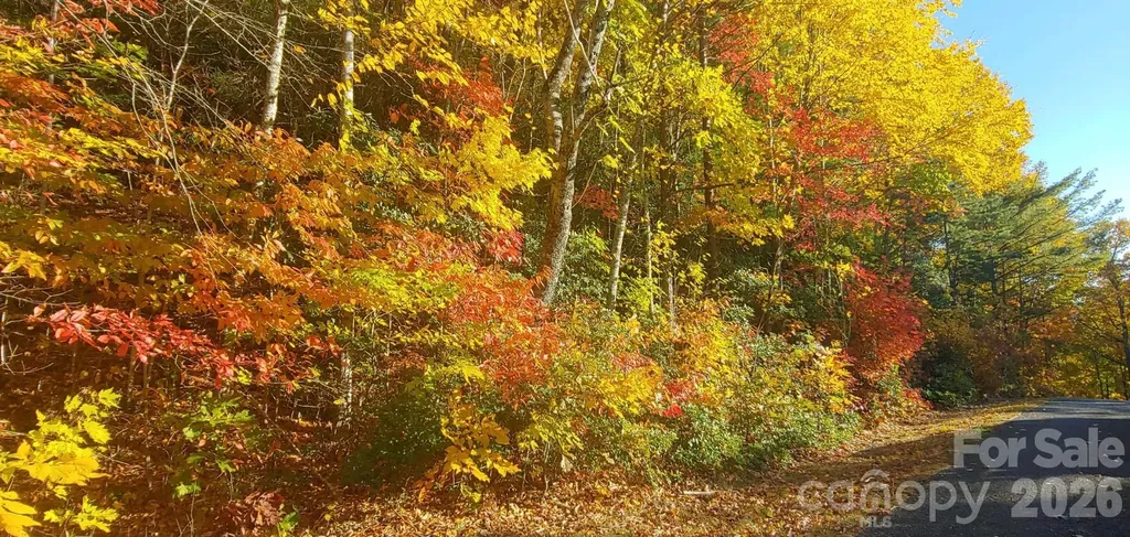 99999 Red Oak Forest Road Fairview NC 28730