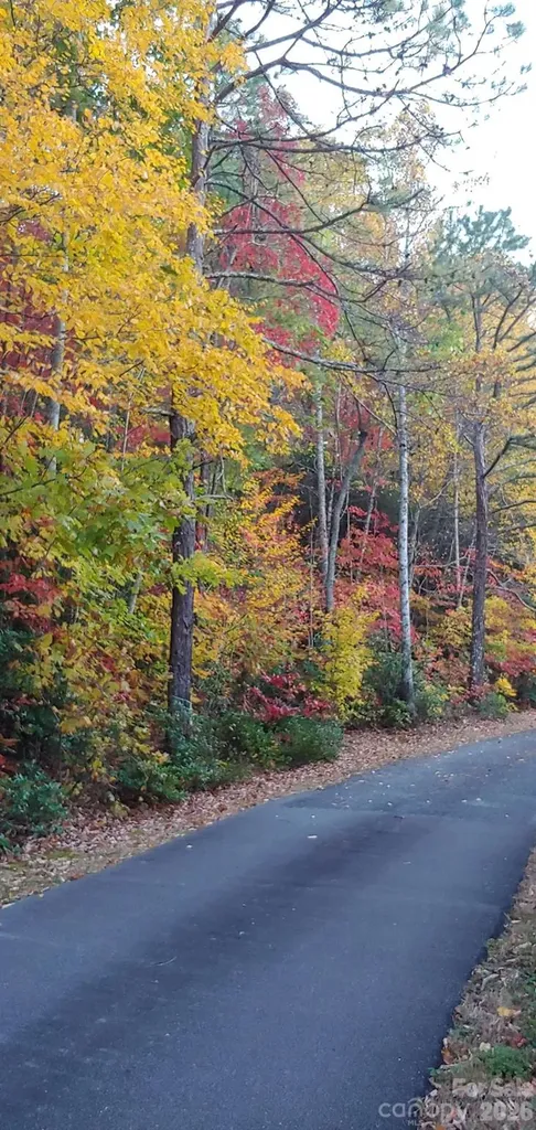 99999 Red Oak Forest Road Fairview NC 28730