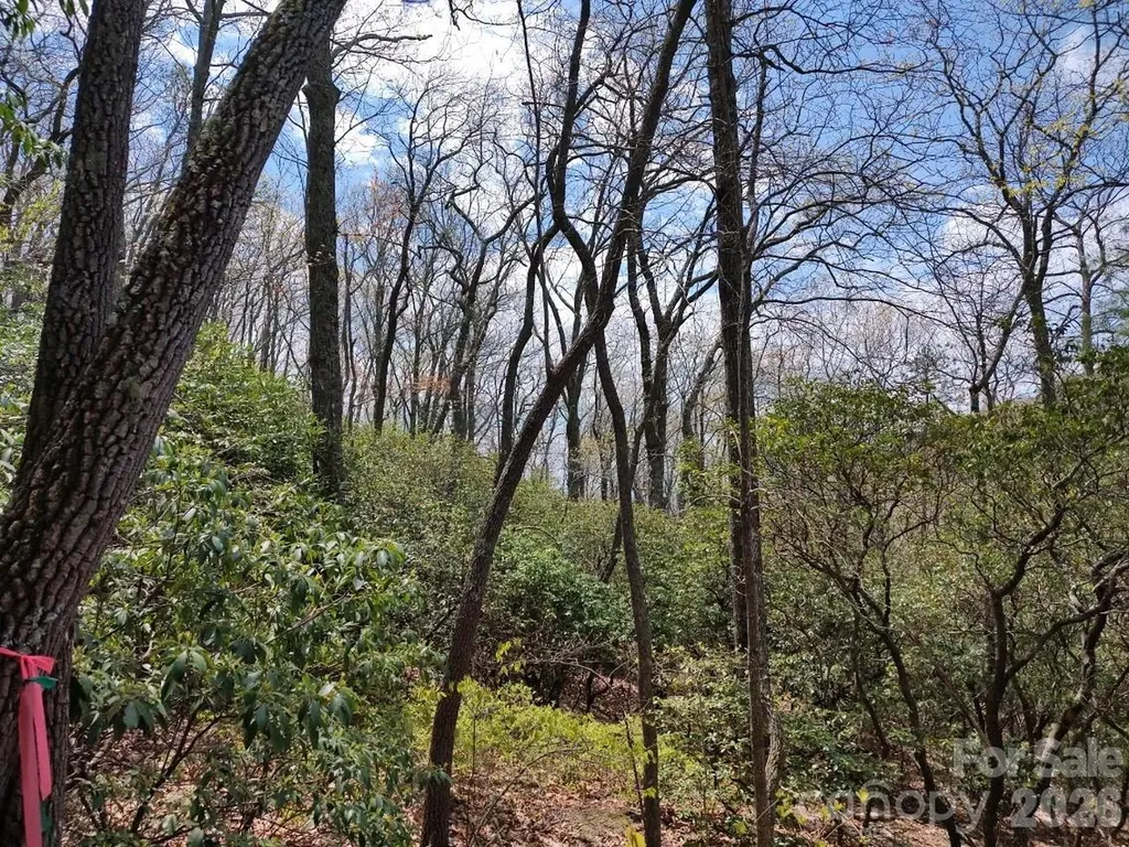 99999 Red Oak Forest Road Fairview NC 28730