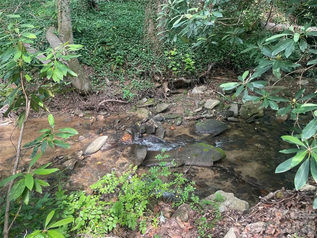 99999 Red Oak Forest Road Fairview NC 28730