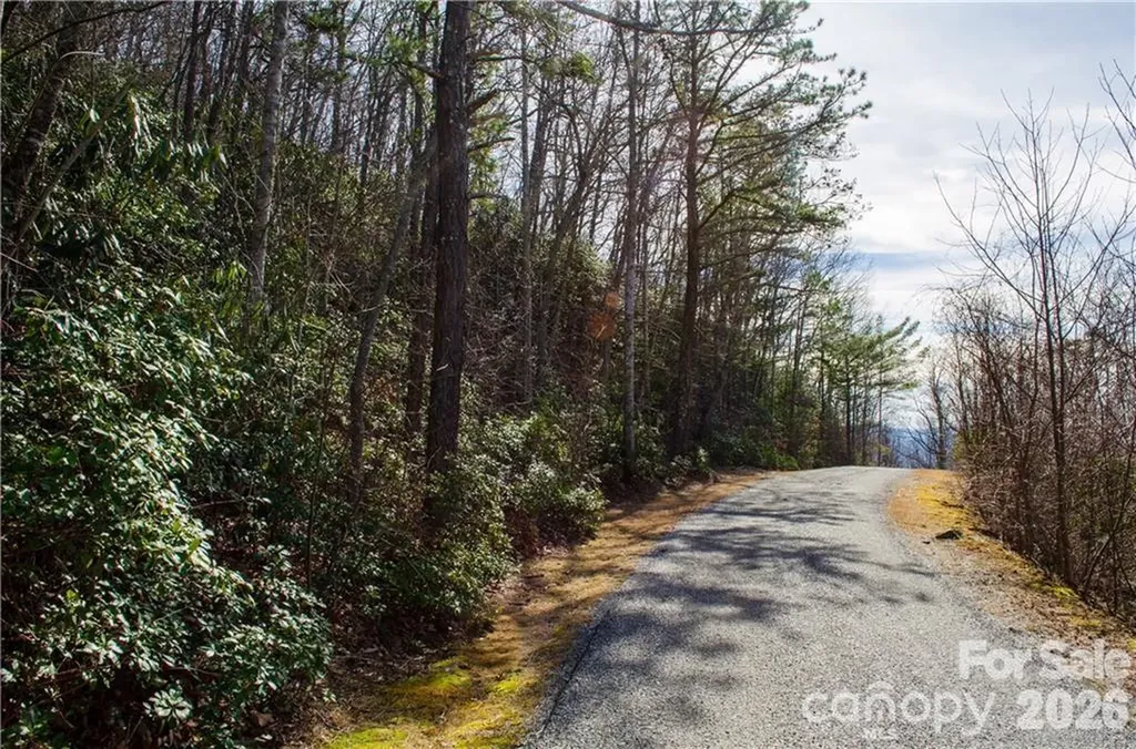 99999 Red Oak Forest Road Fairview NC 28730