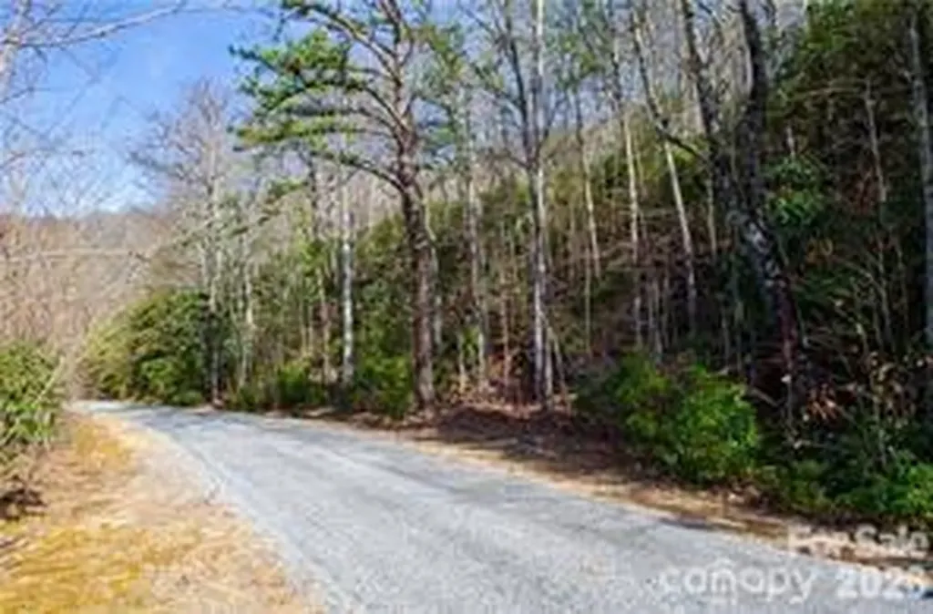 99999 Red Oak Forest Road Fairview NC 28730