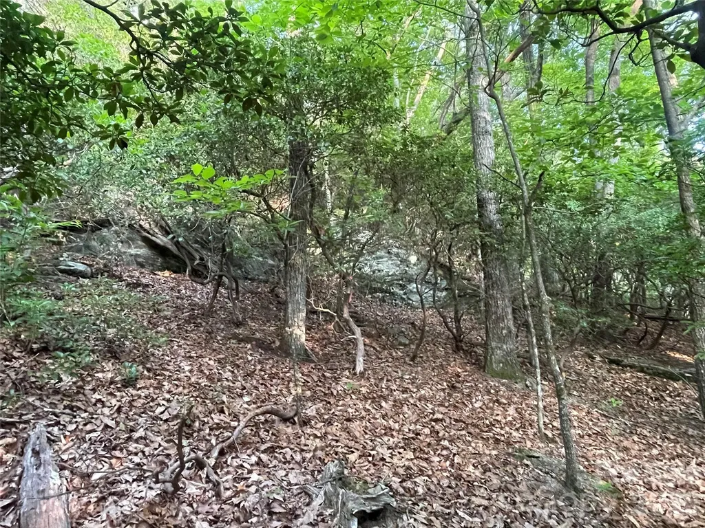 99999 Red Oak Forest Road Fairview NC 28730
