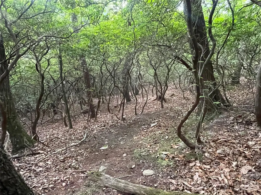 99999 Red Oak Forest Road Fairview NC 28730