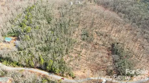 99999 Red Oak Forest Road Fairview NC 28730