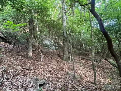 99999 Red Oak Forest Road Fairview NC 28730