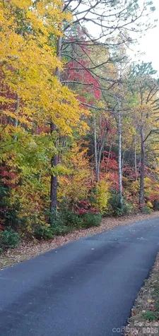 99999 Red Oak Forest Road Fairview NC 28730