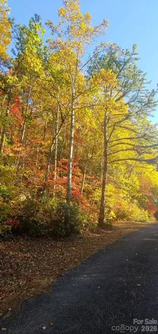 99999 Red Oak Forest Road Fairview NC 28730