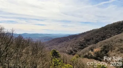 99999 Red Oak Forest Road Fairview NC 28730