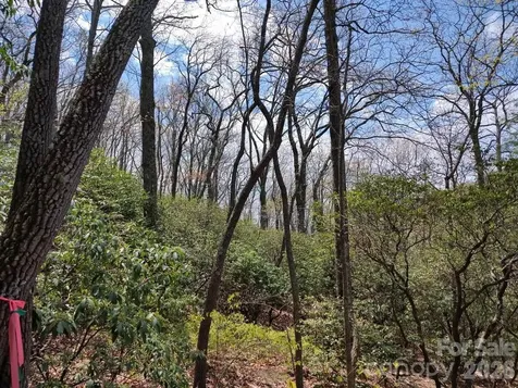 99999 Red Oak Forest Road Fairview NC 28730