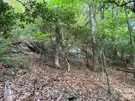 99999 Red Oak Forest Road Fairview NC 28730