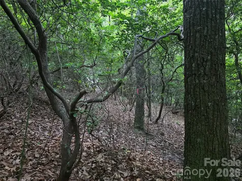 99999 Red Oak Forest Road Fairview NC 28730
