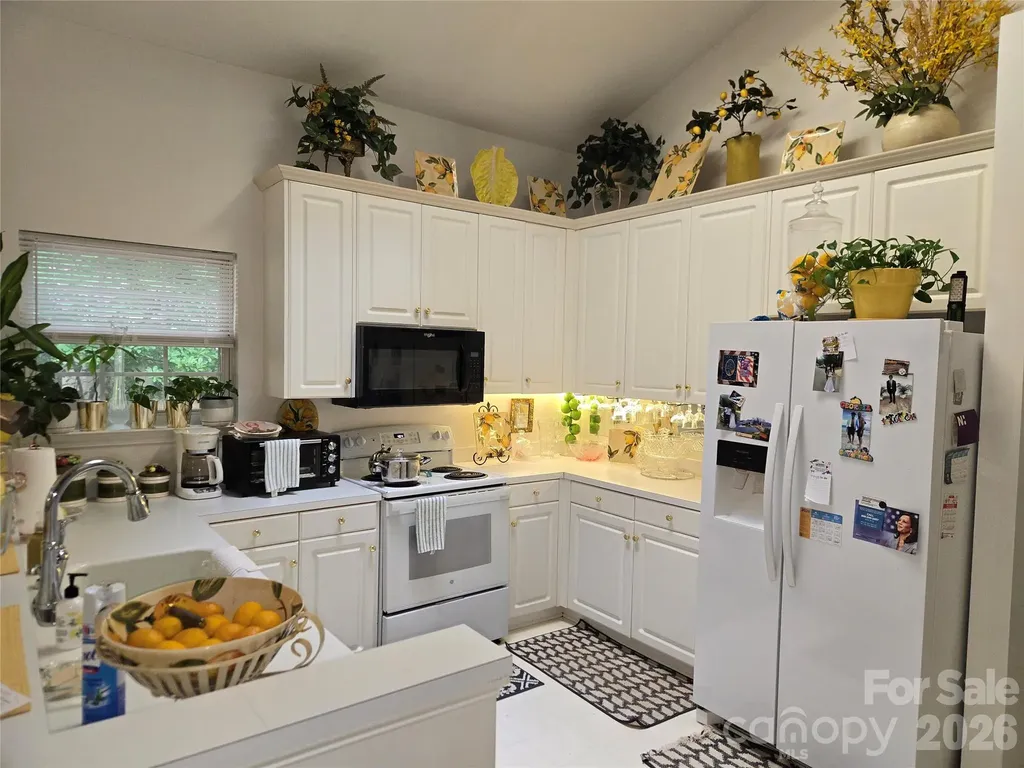 6313 Lily Pad Court Charlotte NC 28262