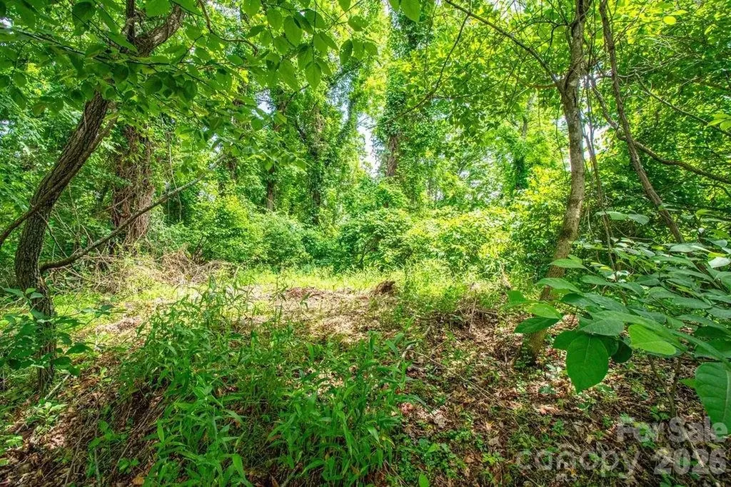9999 Sandy Mush Creek Road Leicester NC 28748